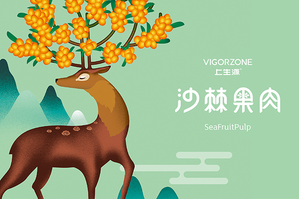 沙棘汁包裝設(shè)計(jì)